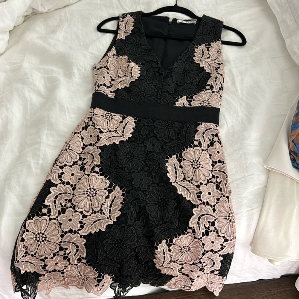 Alice and Olivia Dress Size 2
